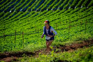 BIB: 2048
                            <button type="button" onclick="openModal(19161005)" class="btn btn-primary btn-sm float-right btn-popup" data-toggle="modal" data-target=".modal-high-quality">
                        <i class="fas fa-shopping-cart"></i> Add to Cart
                    </button>
                                            <button type="button" onclick="isThisMe(19161005, true)" class="btn btn-success btn-sm float-right btn-popup btn-isme hidden" data-toggle="tooltip" data-placement="bottom" title="นี่คือรูปของคุณใช่ไหม คลิกที่นี่เพื่อเอาเข้าอัลบั้ม">
                        <i class="fas fa-plus"></i> Add to album
                    </button>
                    <button type="button" onclick="isThisMe(19161005, false)" class="btn btn-warning btn-sm float-right btn-popup btn-isnotme hidden">
                        <i class="fas fa-ban"></i> Remove from album
                    </button>